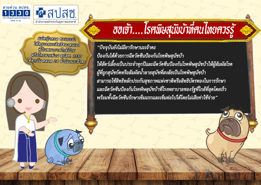 ออเจ้า...โรคพิษสุนัขบ้าที่คนไทยควรรู้